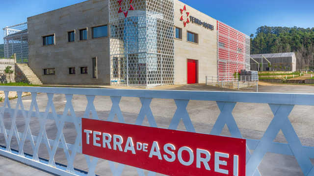 Adegas Terra De Asorei